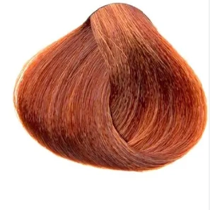 Fő kép